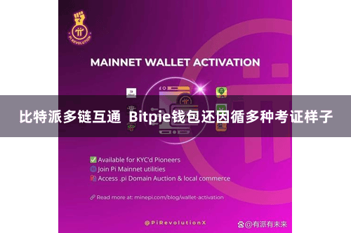 比特派多链互通  Bitpie钱包还因循多种考证样子