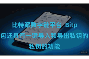 比特派数字链平台  Bitpie钱包还具有一键导入和导出私钥的功能