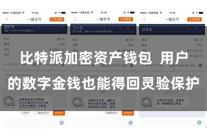 比特派加密资产钱包  用户的数字金钱也能得回灵验保护
