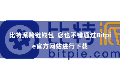 比特派跨链钱包  您也不错通过Bitpie官方网站进行下载