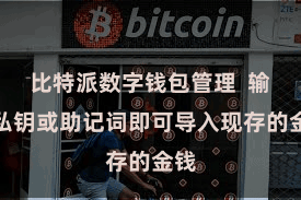 比特派数字钱包管理  输入私钥或助记词即可导入现存的金钱