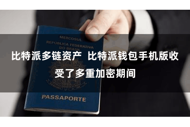 比特派多链资产  比特派钱包手机版收受了多重加密期间